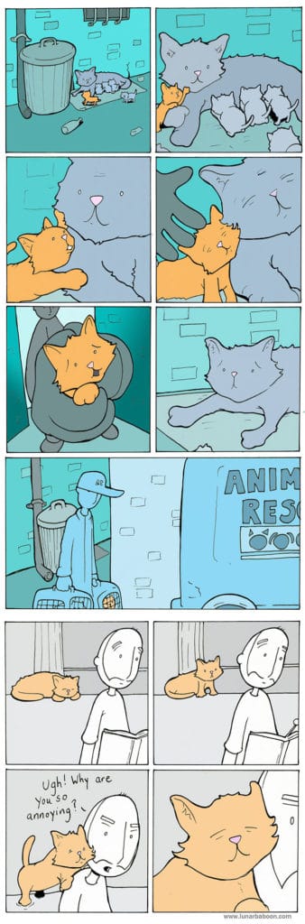 Cat Comics = The Greatest Comics